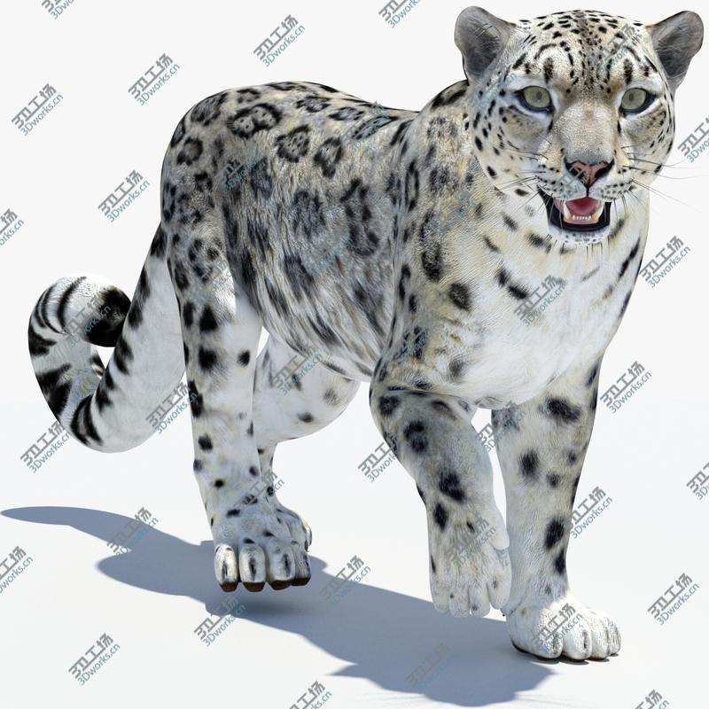 images/goods_img/2021040161/Snow Leopard 2 Animated 3D model/1.jpg